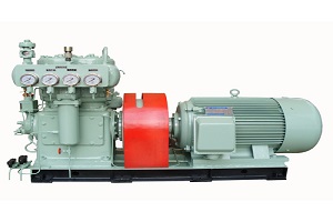 Q2018101208W-ISHII PUMP spare parts